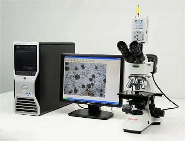 金相分析能分析出什么？